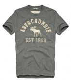 camisa basica