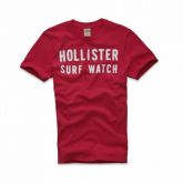 Camisa Hollister